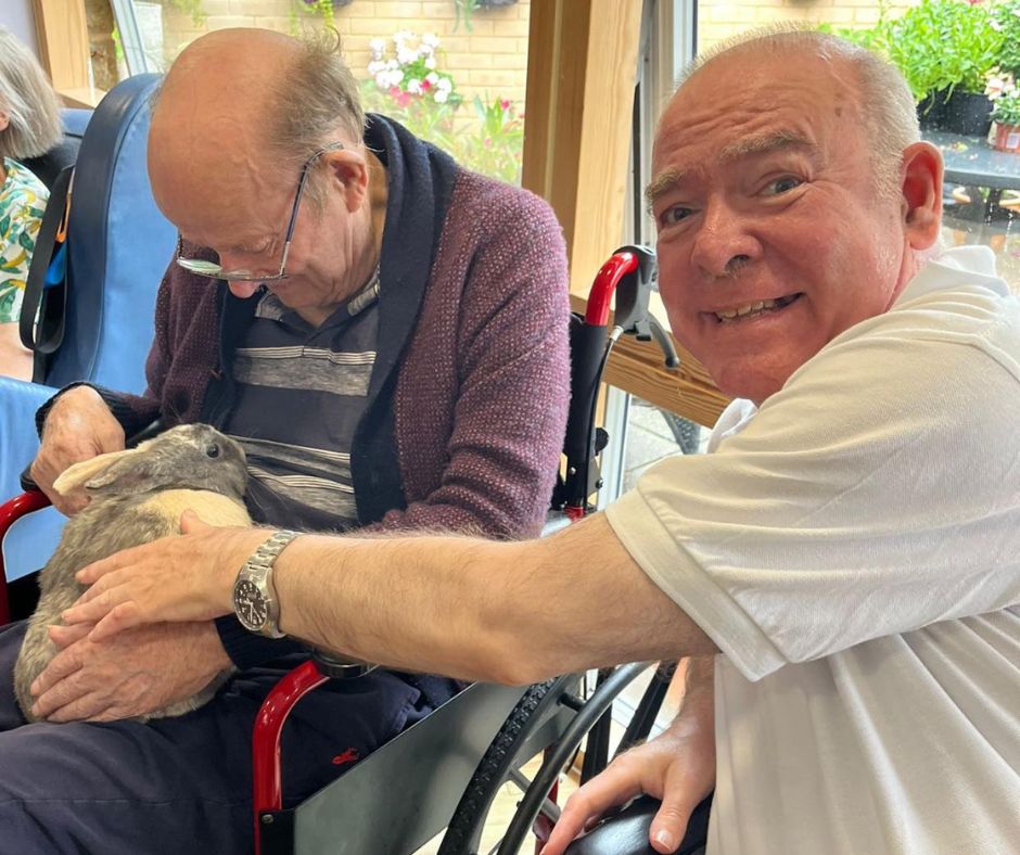 Cuddles, Compassion & Cuteness; A Cosy Afternoon at The Orchards Image